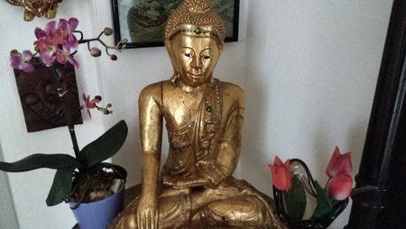 IMAG0239.jpg