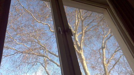2012-01-15_12-13-40_573.jpg