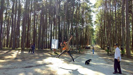 IMG_20170128_102707.jpg