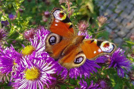 20170930_142955.jpg