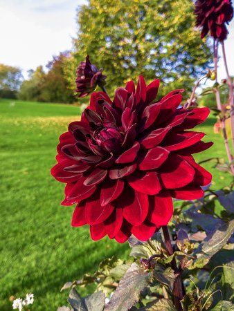 20170930_161947.jpg