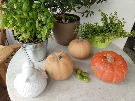 IMG_20171002_135317546.jpg IMG_20171002_135317546.jpg