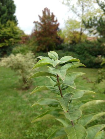 IMG_20171002_135157694.jpg IMG_20171002_135157694.jpg