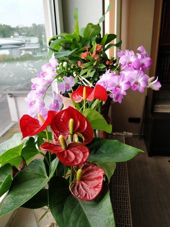 IMG_20171002_174540.jpg