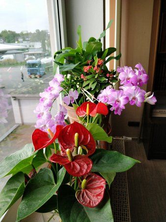 IMG_20171002_174429.jpg