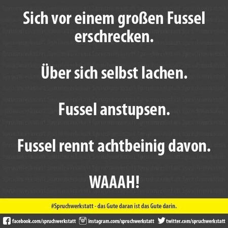 FB_IMG_1506966287154.jpg