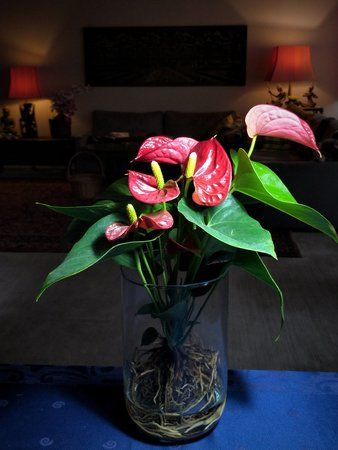 IMG_20171004_172915.jpg