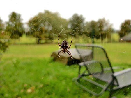 20170923_160819.jpg