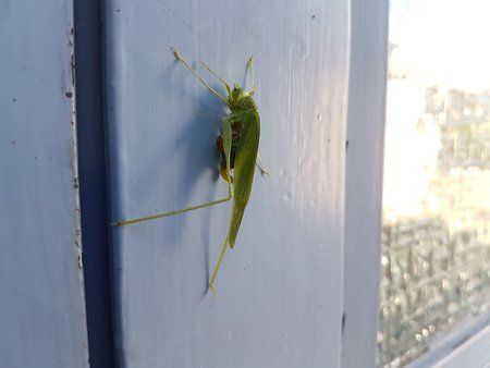 20171013_141248.jpg