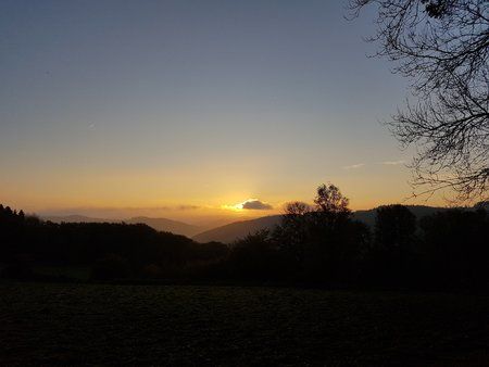 20171014_080850.jpg