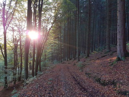 20171014_082437-01.jpeg