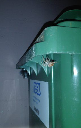 IMG_20171013_193659.jpg
