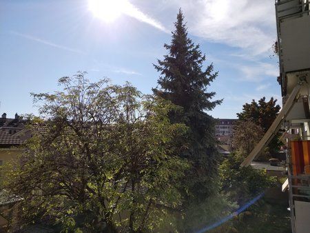 IMG_20171017_130327.jpg