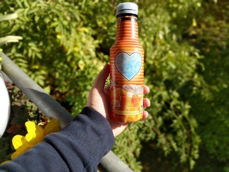 IMG_20171017_130302.jpg