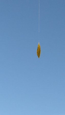 IMG_20171017_174421_965.jpg