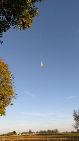 IMG_20171017_174601_076.jpg