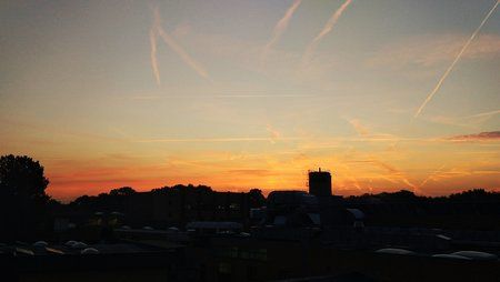 IMG_20171019_074517.jpg