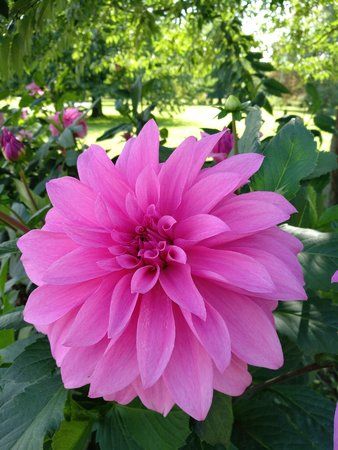 IMG_20170827_134609.jpg