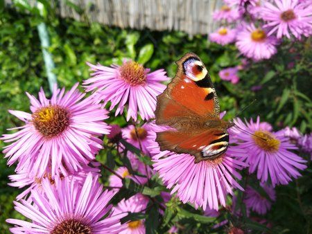 IMG_20170924_132840.jpg