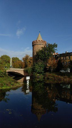 IMG_20171020_102126.jpg