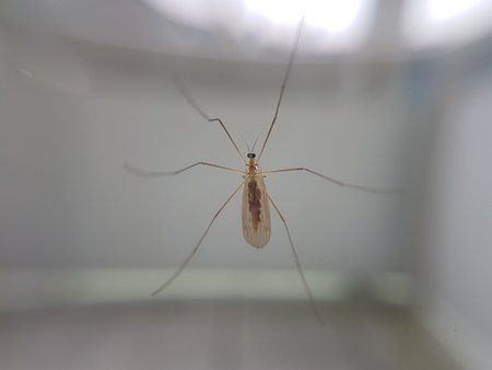 20171023_145412.jpg