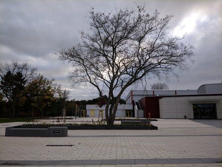 1002-op5-google-camera-auto-focus-hdr-auto.jpg