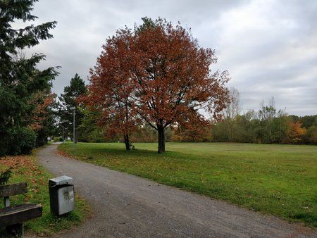 1101-op5-oos-camera-auto-focus-hdr-auto.jpg