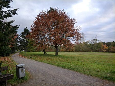 1102-op5-google-camera-auto-focus-hdr-auto.jpg