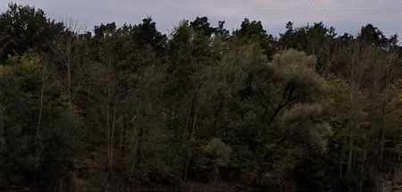 1304-op5-google-camera-auto-focus-hdr-auto-freigestellt.jpg