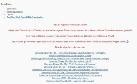 Rattenschwanz.JPG