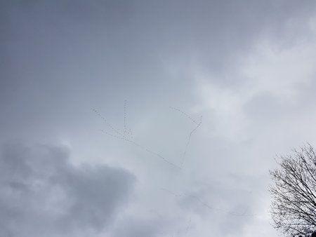 20171113_124329.jpg
