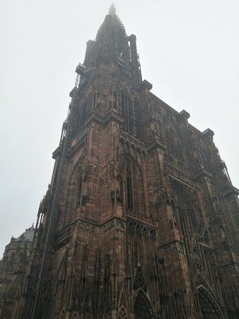 IMG_20171115_115416.jpg