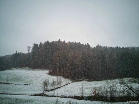 IMG_20171119_121021.jpg