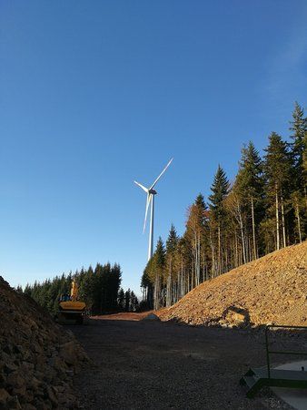 IMG_20171122_154844.jpg