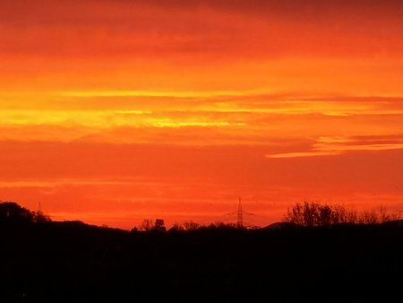 IMG_20171123_075123.jpg