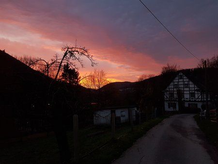 20171123_075100.jpg