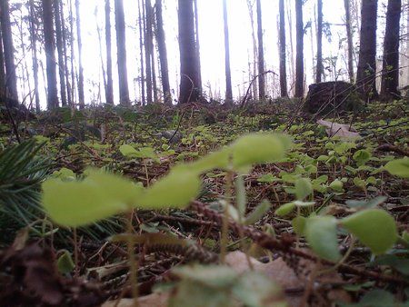 05-04-2010 16.52.17.jpg