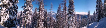 20120126_130918.jpg