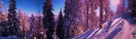 20120126_131147.jpg