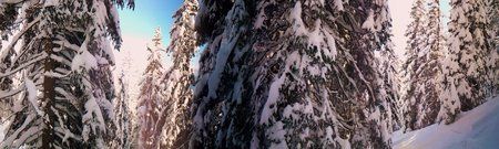 20120126_131534.jpg