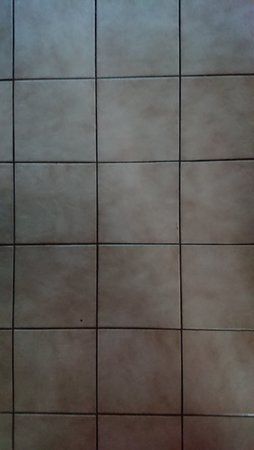 DSC_0375.JPG