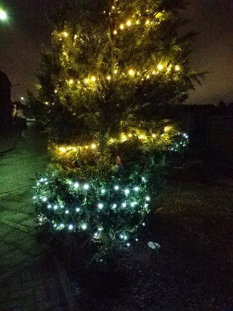 IMG_20171130_053831.jpg