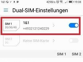 SIM.jpg