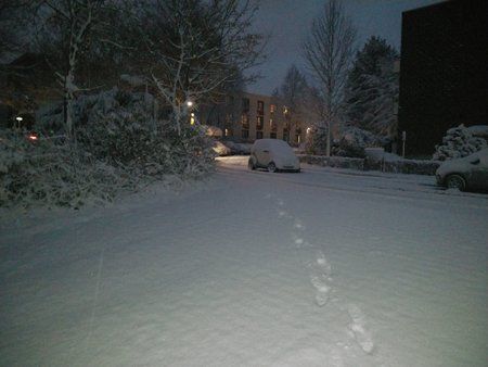 IMG_20171209_074405.jpg