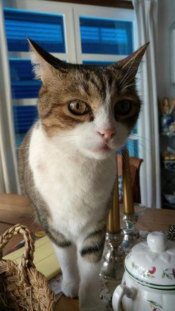 IMG-20171211-WA0003.jpeg