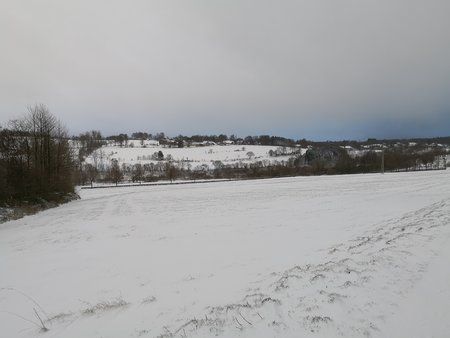 IMG_20171210_144740.jpg