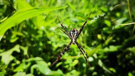 IMG_20171215_113434-2976x1680.jpg