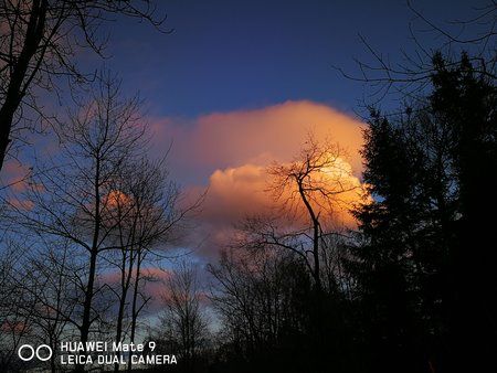 IMG_20171215_162051.jpg