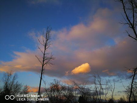 IMG_20171215_161435.jpg