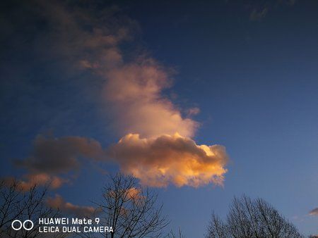IMG_20171215_161719.jpg